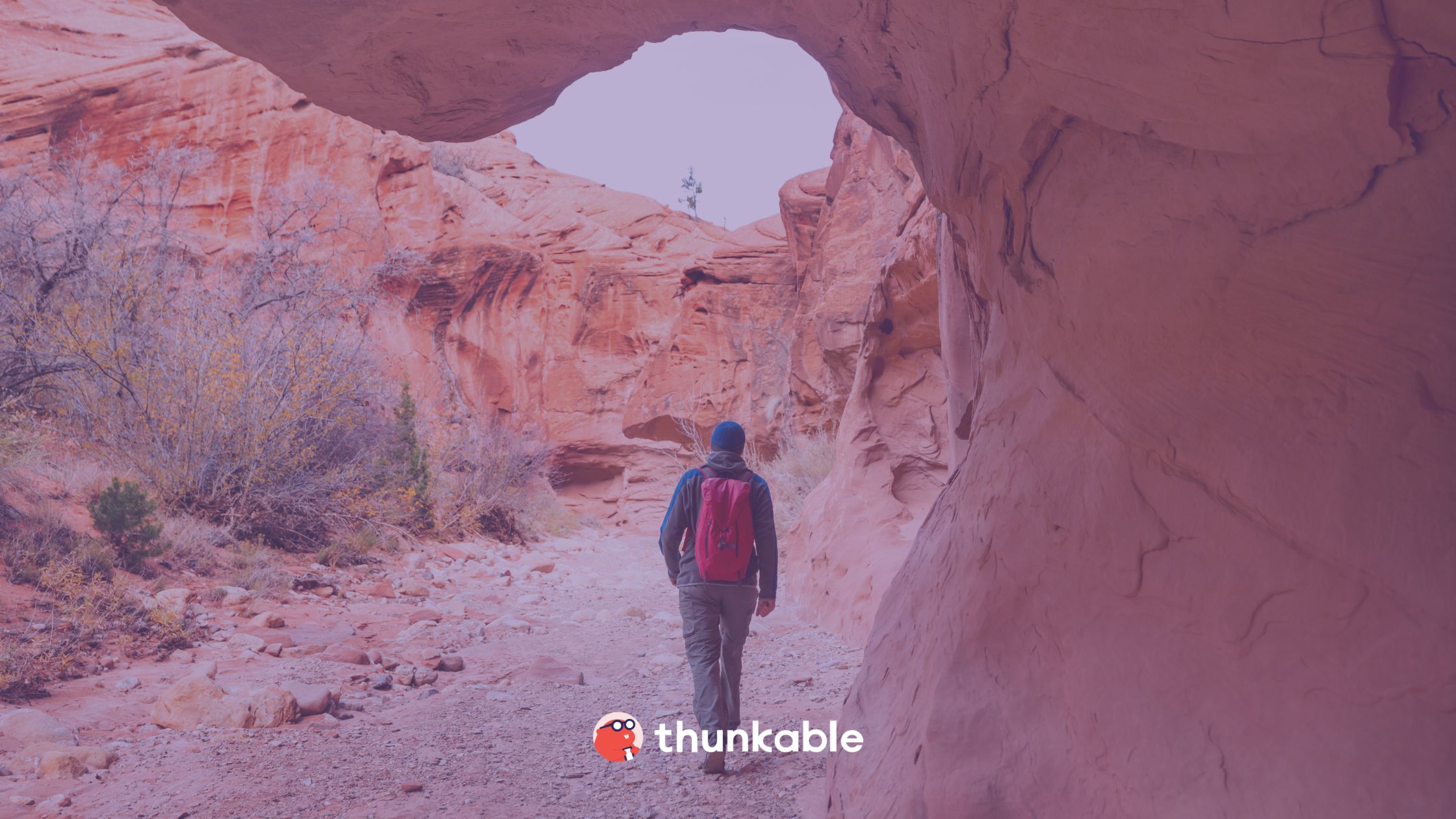 Finding Refuge in the United States and a New Career Using Thunkable